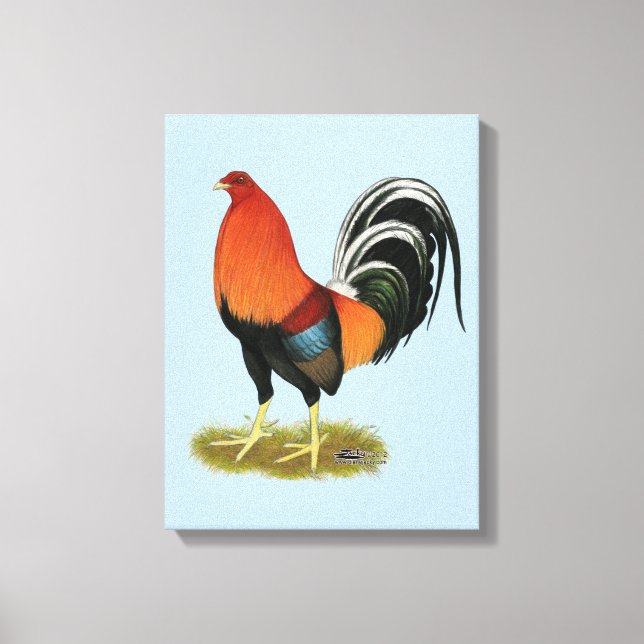 Gamecock Wheaten Rooster Canvas Print (Front)