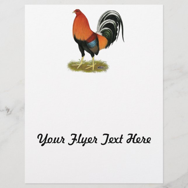 Gamecock Wheaten Rooster Flyer (Front)