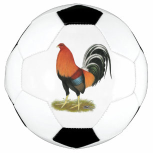 Gamecock Wheaten Rooster Football