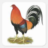 Gamecock Wheaten Rooster