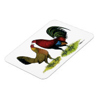 Gamefowl Pair