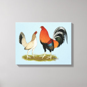 Gamefowl Wheatens Canvas Print