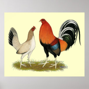 Gamefowl Wheatens Poster