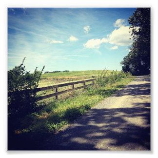 Gameland Fence Photo Print