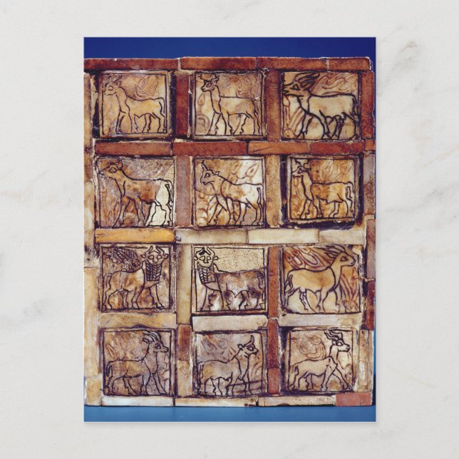 Gaming board, animals of the field and forest postcard (Front)