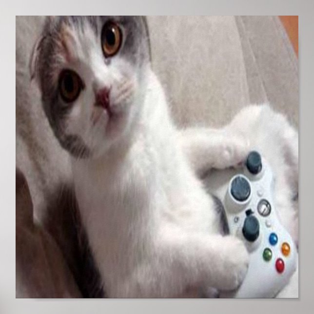 Gaming Cat - poster (Front)