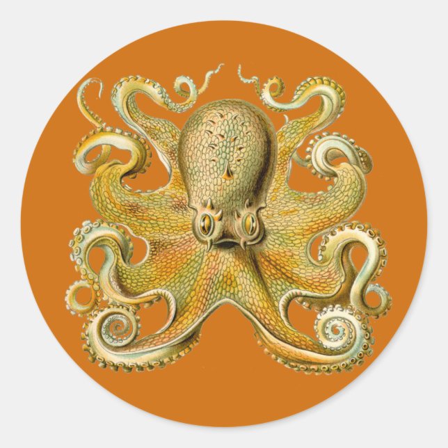 Gamochonia Stickers (Front)