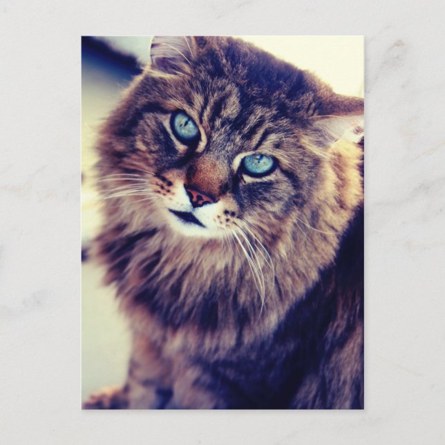 Gandalf Postcard (Front)