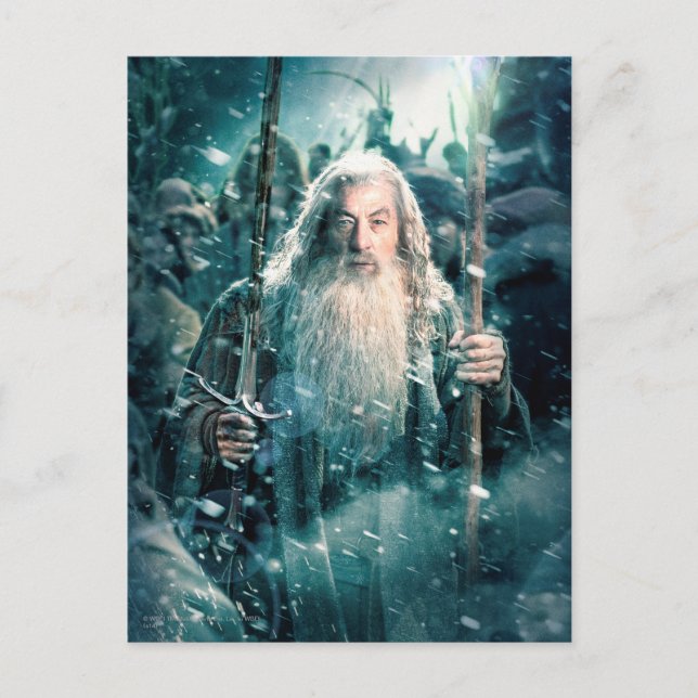 Gandalf The Grey Postcard (Front)