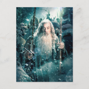 Gandalf The Grey Postcard