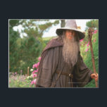 GANDALF™ with Hat Postcard<br><div class="desc">Gandalf: A wizard is never late,  Frodo Baggins. Nor is he early. He arrives precisely when he means to.</div>