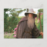 GANDALF™ with Hat
