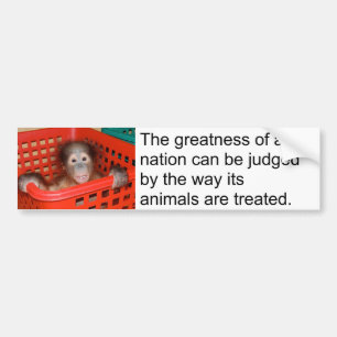 Gandhi Animal Quote Cute Baby Bumper Sticker