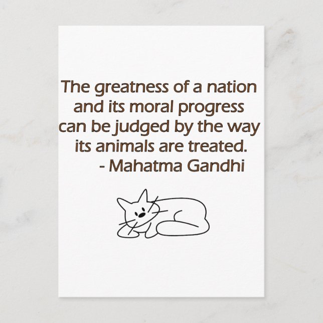 Gandhi Animals Quote with Cat Postcard (Front)