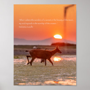 Gandhi Sunset Quote Poster