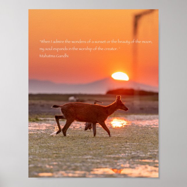 Gandhi Sunset Quote Poster (Front)