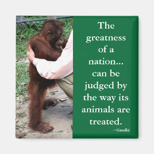 Gandhi's Animal Quotation Magnet