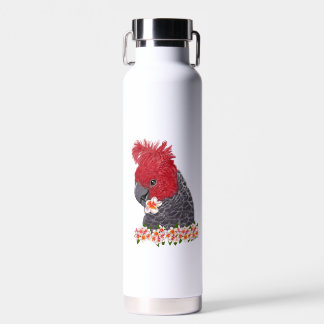 Gang gang  water bottle