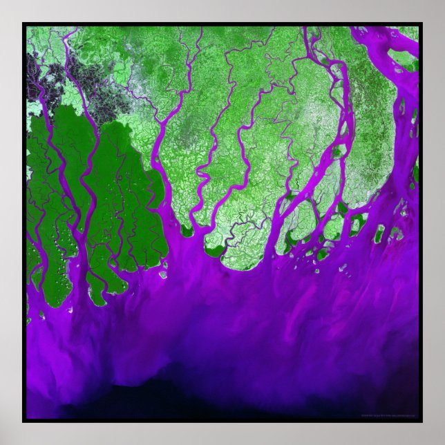 Ganges Delta Bay of Bengal Poster (Front)