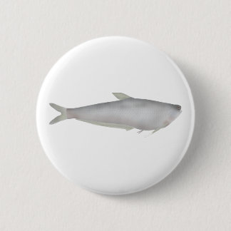 Gangetic Hairfin Anchovy 6 Cm Round Badge