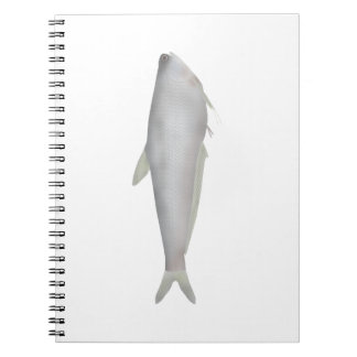 Gangetic Hairfin Anchovy Notebook