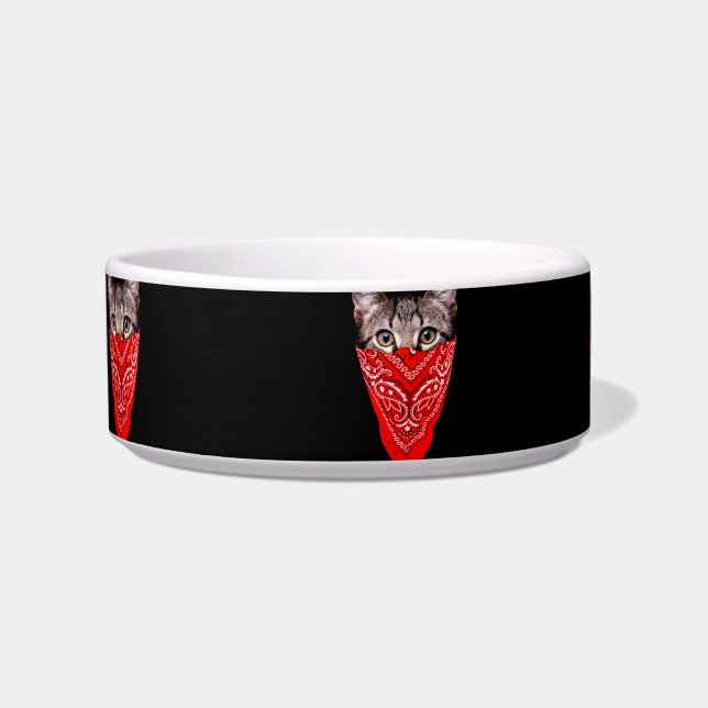 Gangster cat hood bowl (Front)