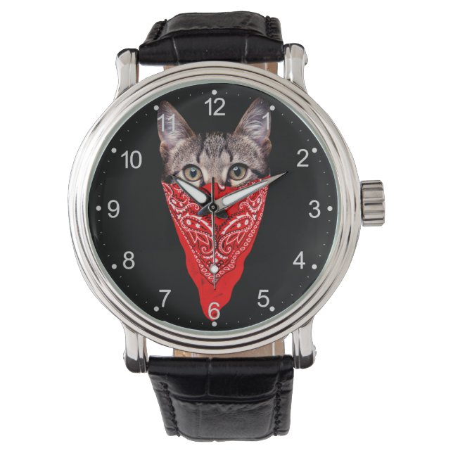Gangster cat hood watch (Front)
