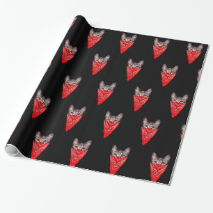 Gangster cat hood wrapping paper