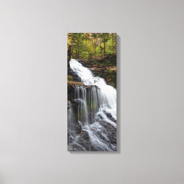 Ganoga Falls 10"x24"x.75" Canvas Print (Front)
