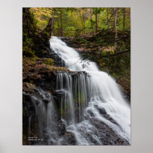 Ganoga Falls 11"x14" Poster