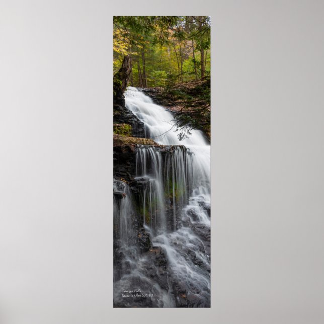 Ganoga Falls 12"x36" Poster (Front)