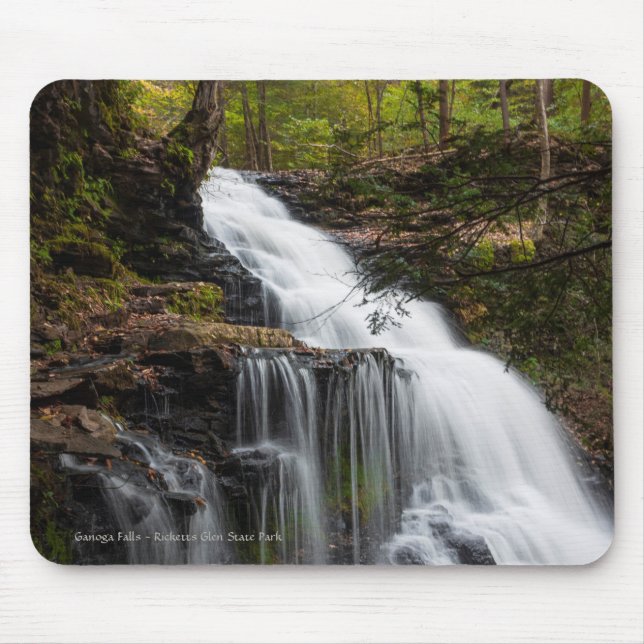 Ganoga Falls Mouse Mat (Front)