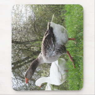 Gänse auf einer Wiese Mouse Mat