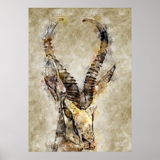 Gaqzelle Vintage Print Wall Art