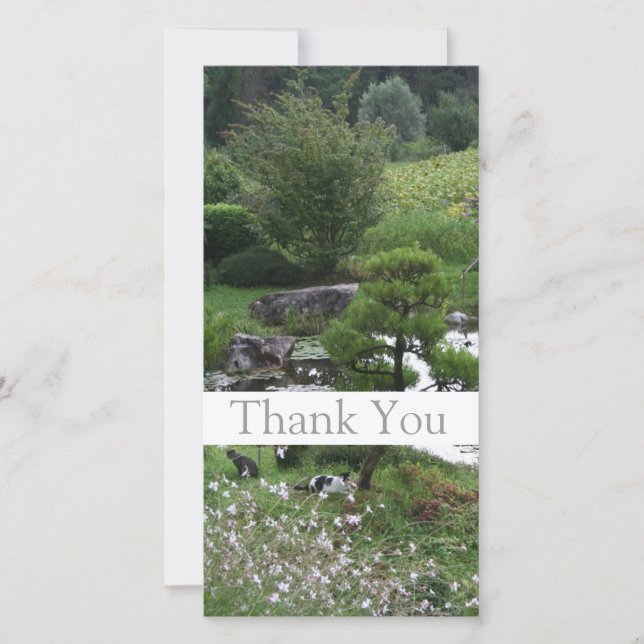 Garden 3 with Cats Thank You Photo Cards 1 (Front)