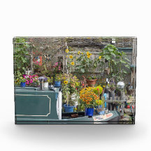 Garden and Narrow boat