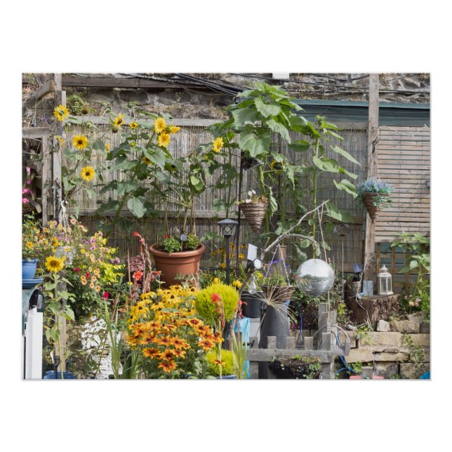 Garden and Narrow boat Poster (Front)