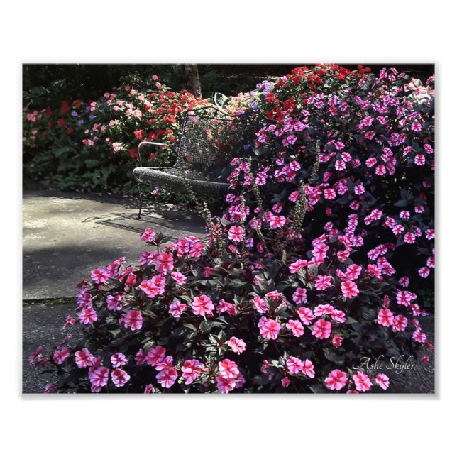 Garden Bench Photo Print (Front)