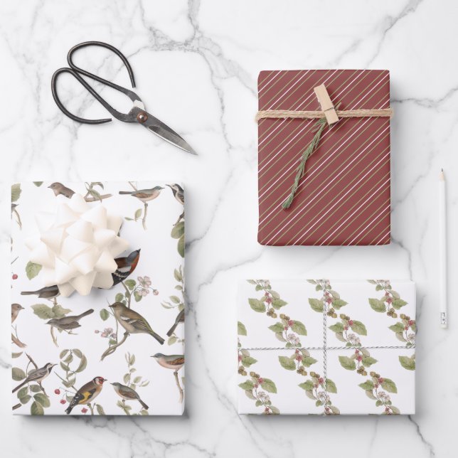 Garden Birds in Branches and Coordinating  Wrapping Paper Sheet (Front)