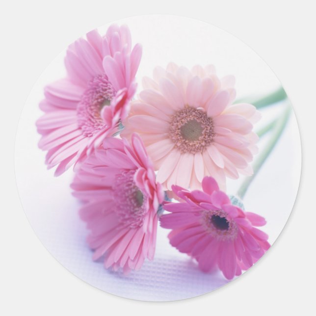 Garden Bounty 8 Classic Round Sticker (Front)