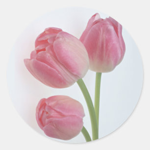 Garden Bounty 9 Classic Round Sticker