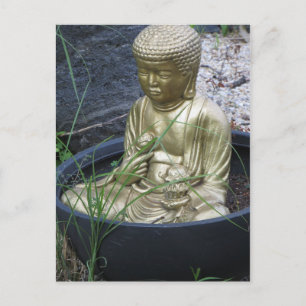 Garden Buddha Postcard