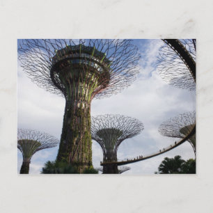 Garden By The Bay Postcard