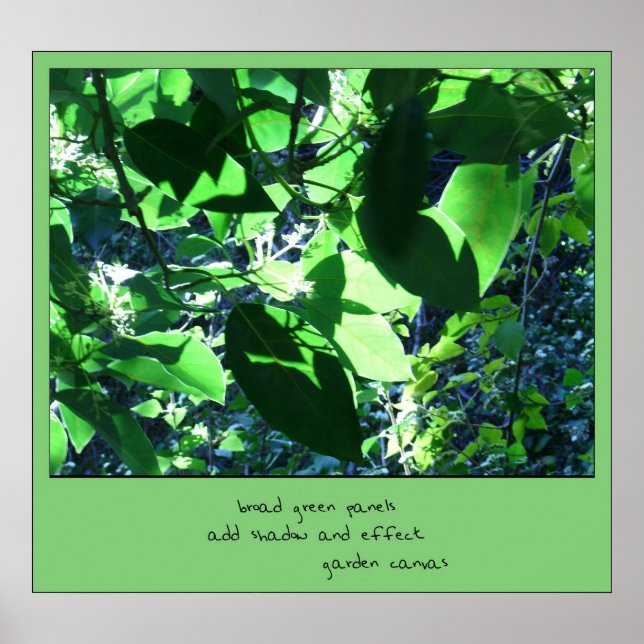 Garden Canvas Haiku Art Print (Front)