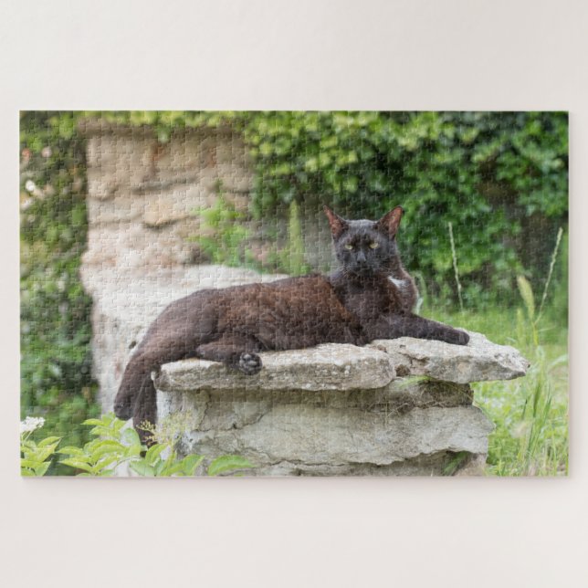 garden cat puzzle (Horizontal)