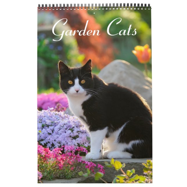 Garden Cats - size medium Calendar (Cover)