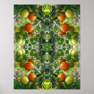 Garden Cherry Tomatoes Abstract Nature      Poster