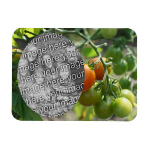 Garden Cherry Tomatoes Add Your Photo Magnet