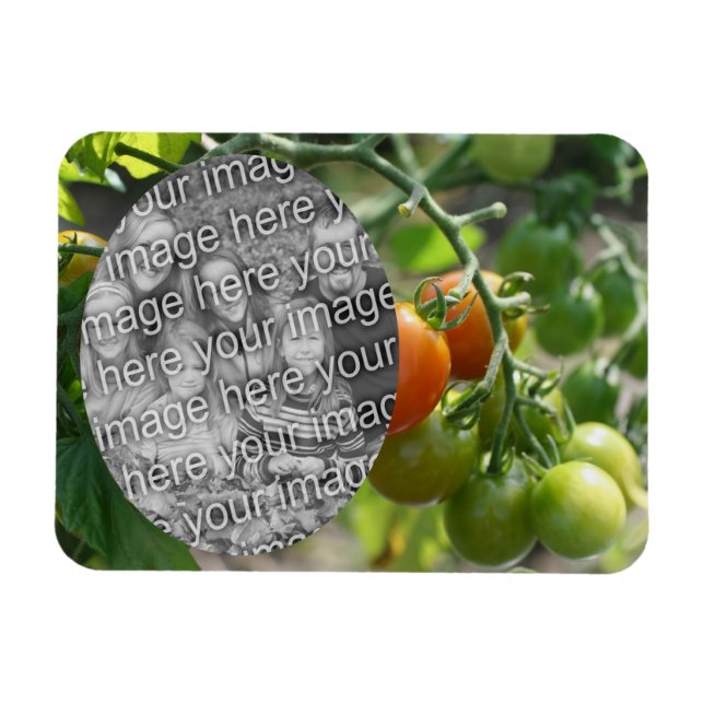 Garden Cherry Tomatoes Add Your Photo Magnet (Horizontal)