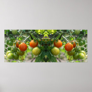Garden Cherry Tomatoes Mirror Abstract Poster